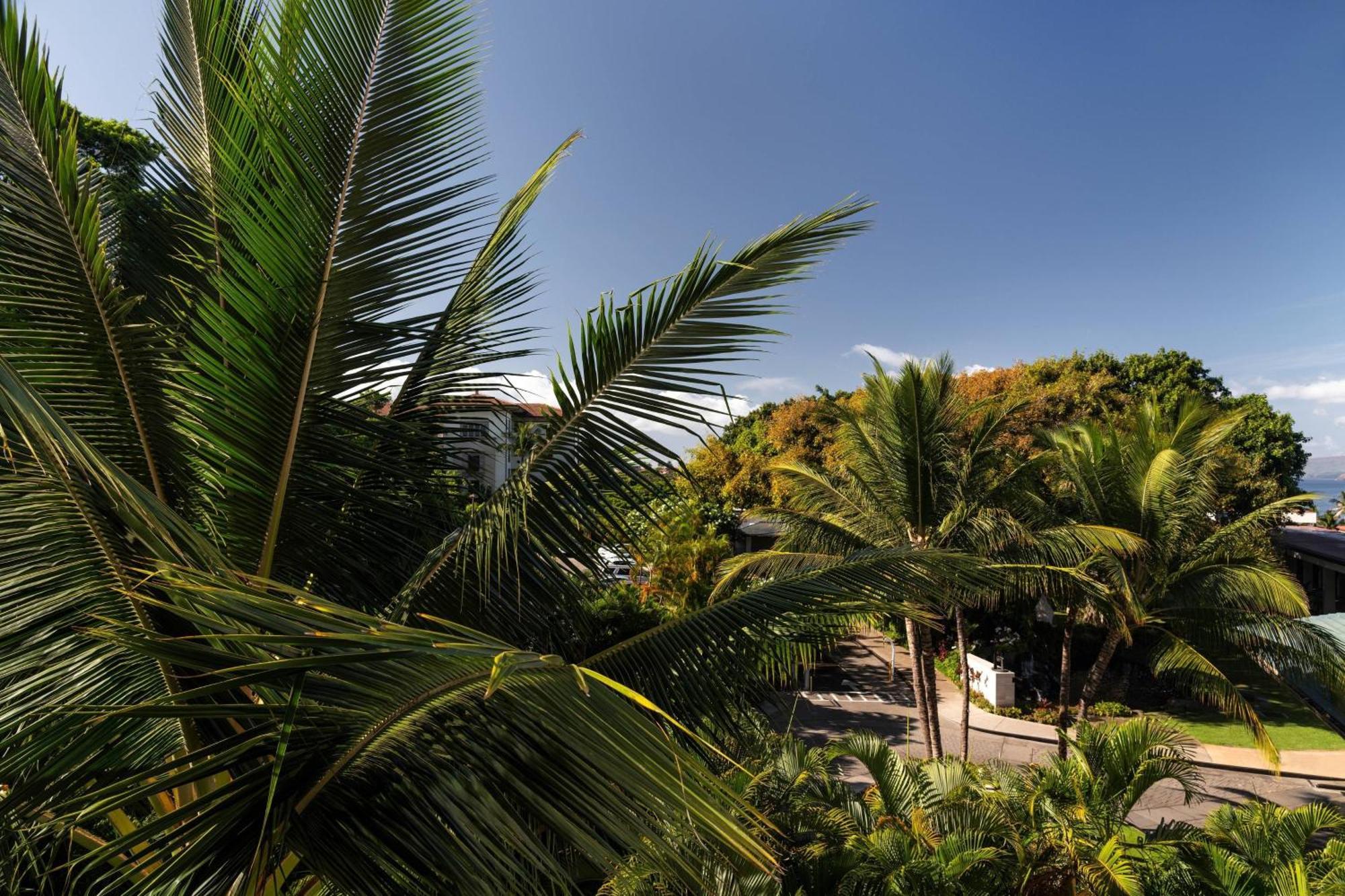 Wailea Beach Resort - Marriott, Maui Exterior foto